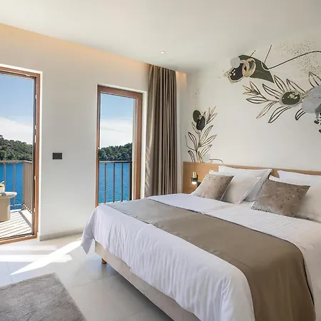 Beautiful In With Sauna * Blato (Korcula)